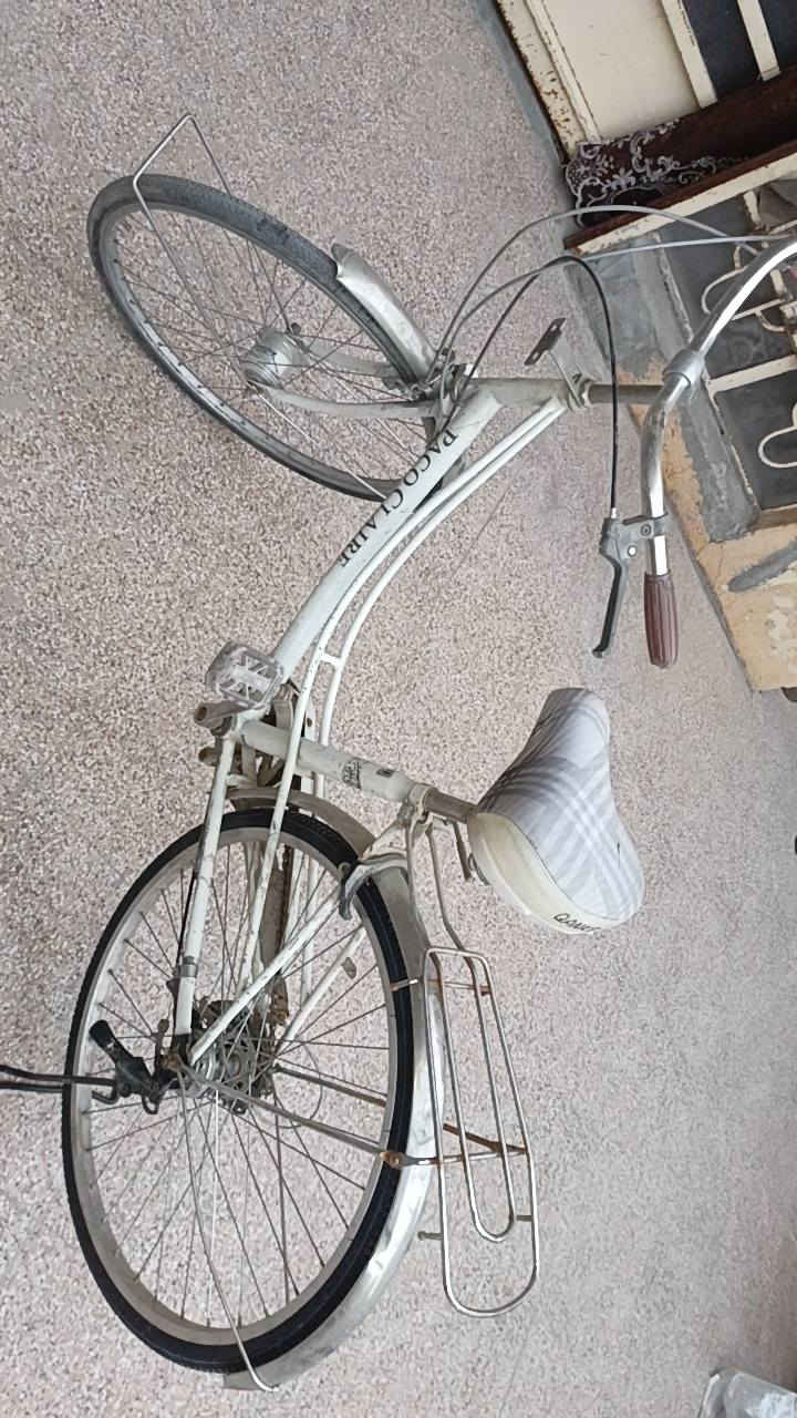 السلام عليكم باسكل ياباني اصلي موديل2015 مكاني كربلاء حي العسكري السعر70 وبيه مجال ❤


**إذا كنت صاحب هذا الإعلان وتريد حذفه لأي سبب، رجاءا أرسل رسالة إلى الدعم الفني**