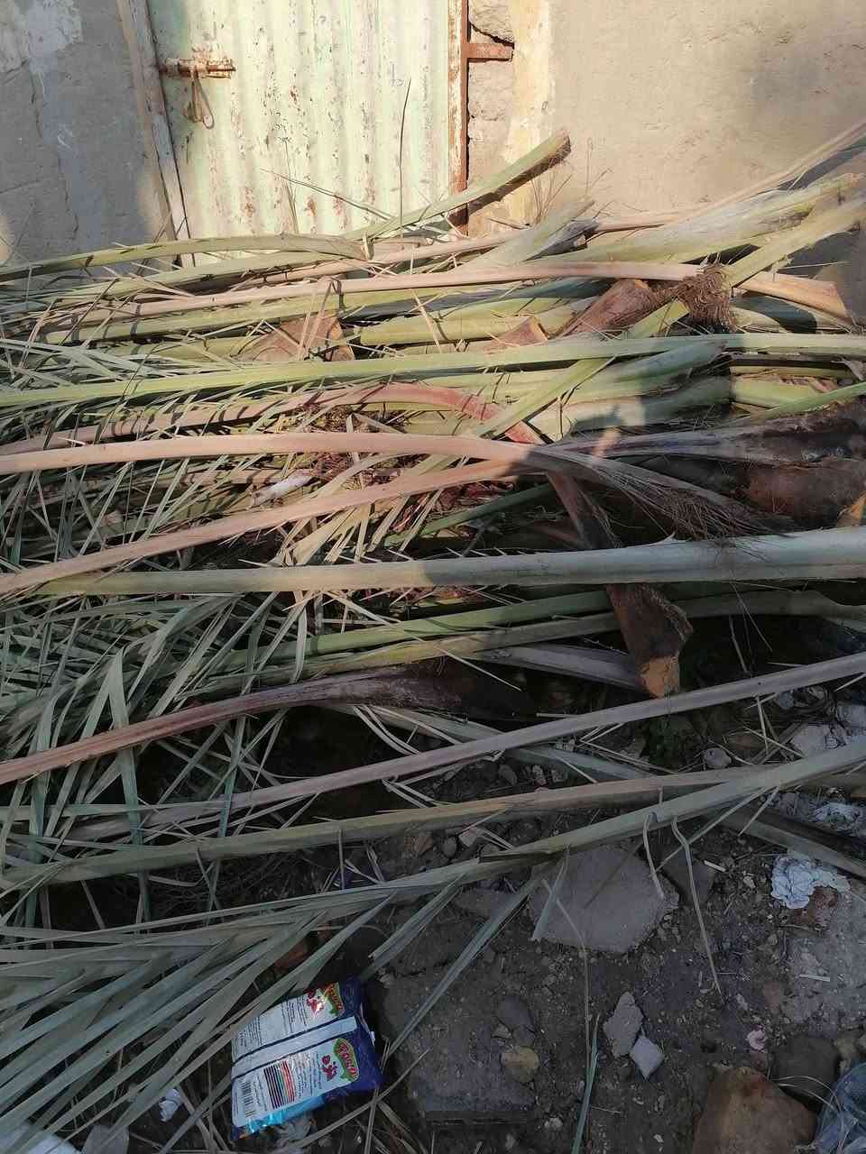 السلام عليكم متوفر سعف أخضر ويابس وكرب ليردهن يتواصل *********** ديوانيه قضاء السنيه
