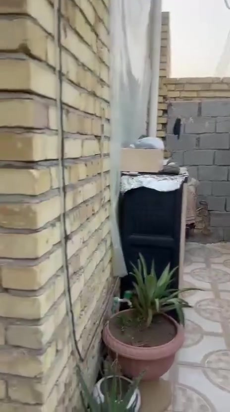 مكلفه بالنشر بيت للبيع 
 تفاصيل البيت داخل الفديو والصوره


**إذا كنت صاحب هذا الإعلان وتريد حذفه لأي سبب، رجاءا أرسل رسالة إلى الدعم الفني**