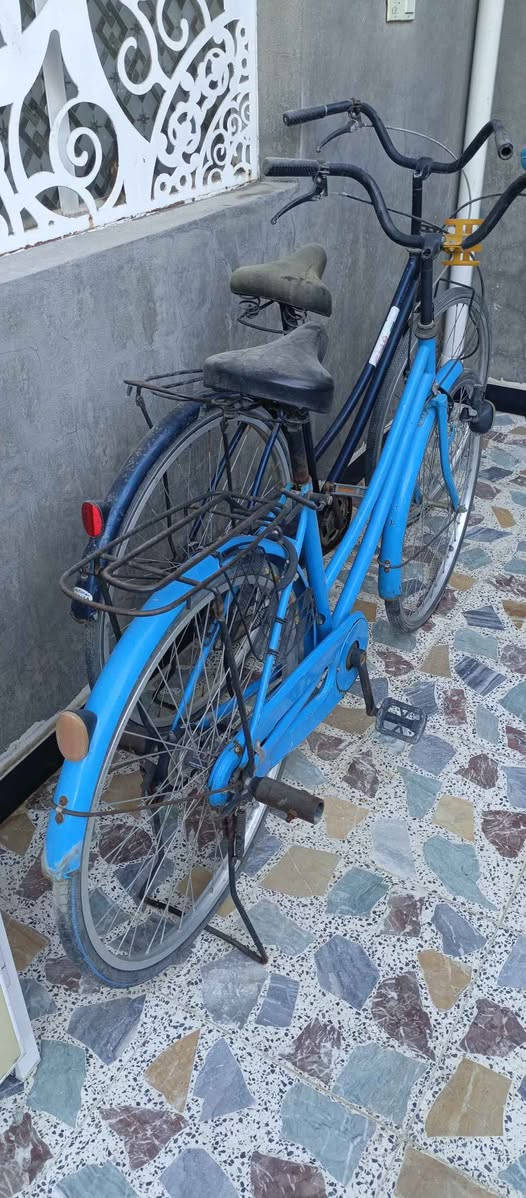 باسكلات ال
عدد اثينهن تايرين نص عمر /*********** النجف, العراق
