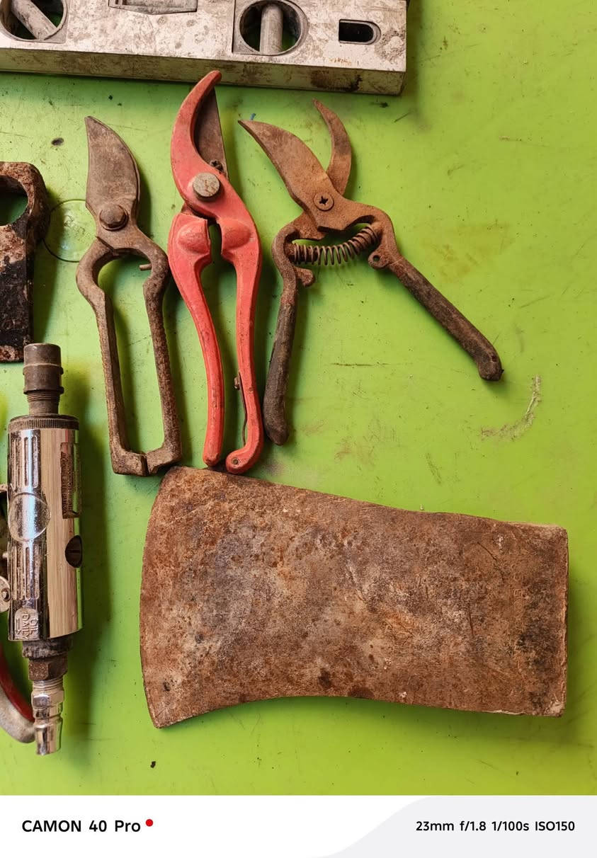 كلهن ب٥٠ الف مكاني بغداد *********** بي وتساب
