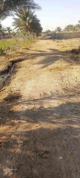 سلام عليكم قطعه ارض للبيع سند 25المساحه
500متر نزال 25واجهيه 20 السعر 27وبيه مكان كربلاء المقدسه طريق طوريج كربلاء تبعد عن شارع العام كلو ونص طريق اله علرابط تبعد عن التبليط 400متر خدامات كامله مي كهرباء 
مدارس مستوصف كله موحود الستفسار علرقم ***********
