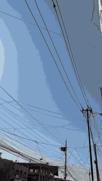 ‏سلام عليكم فل للبيع***********
