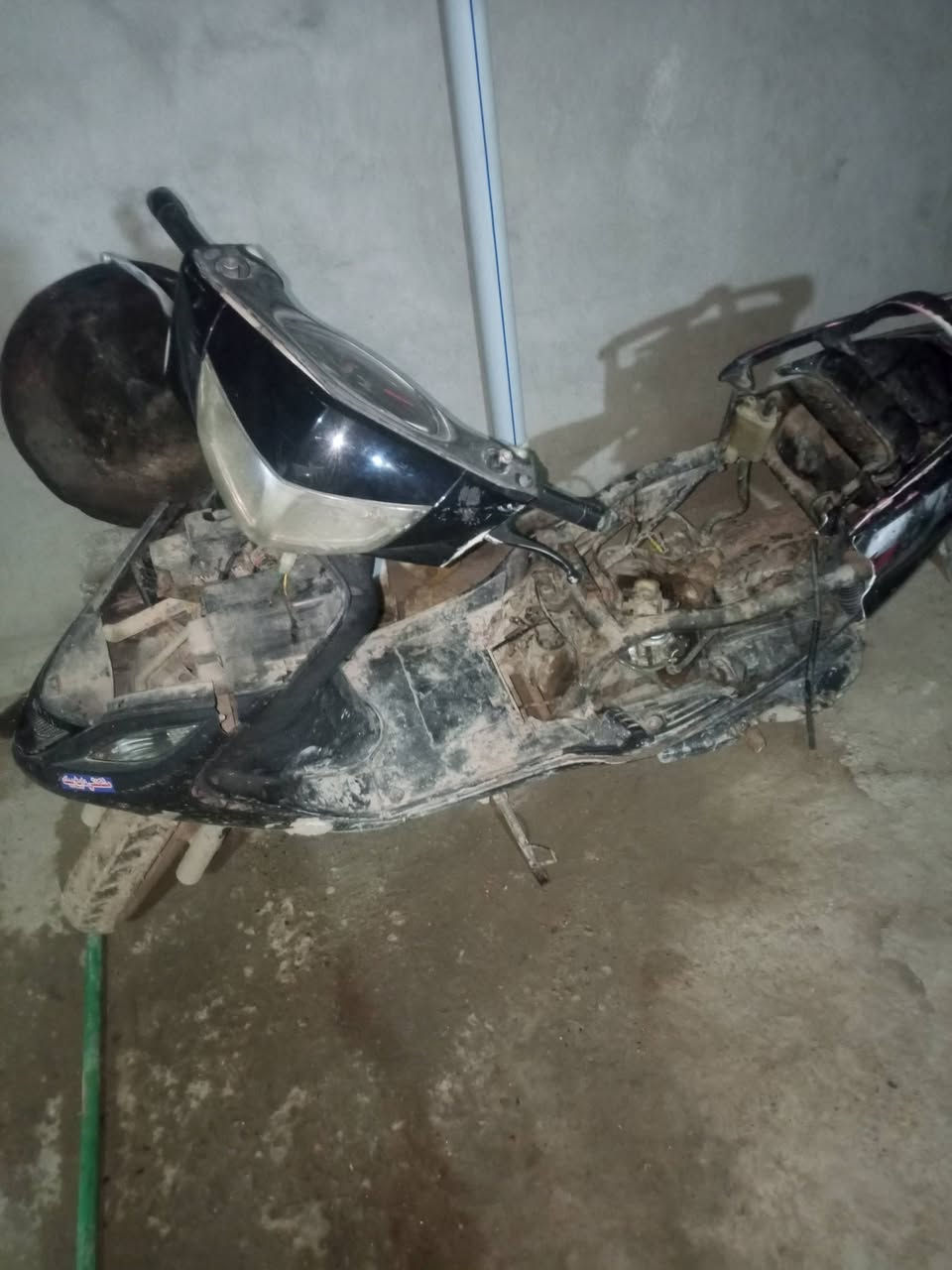 سلام عليكم دراجه ثعلب لبيع دراجه كفرات مكسورات وطفت فجه ومعرفة عطله سعره 200 وبيه مجال مكاني مدينه صدر رقم***********وساب موجود شراب يدك
