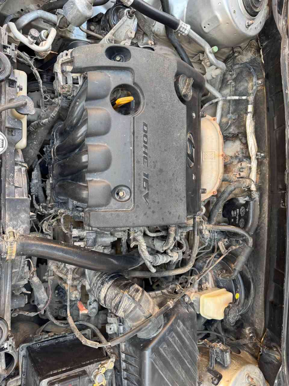 السلام عليكم 
كياسيراتو وارد خليجي مديل ٢٠٠٨ محرك  ١٦٠٠رقم نكليزي سليمانية هزه ورقم وسنويه جدد السياره مكفوله من الضربه بس بيه جراد كير محرك تبريد ع الشرط مكاني نجف 
(مكلف بل نشر) 
لتواصل ***********
السعر : ٧٦ النجف, العراق
