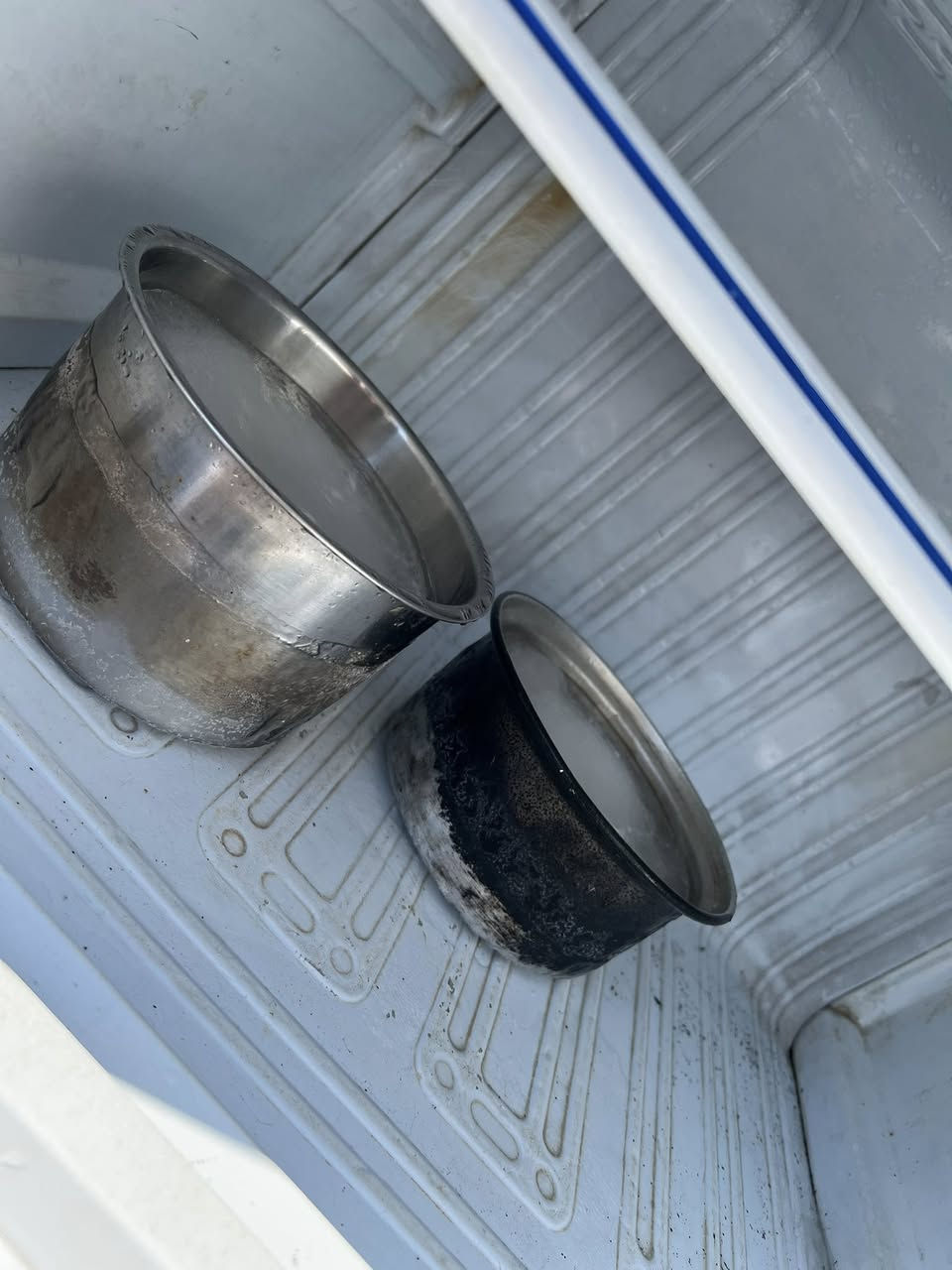 للبيع ١٠٠ وبيه مجال قليل


**إذا كنت صاحب هذا الإعلان وتريد حذفه لأي سبب، رجاءا أرسل رسالة إلى الدعم الفني**