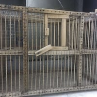 قفص • مصيادات ٢