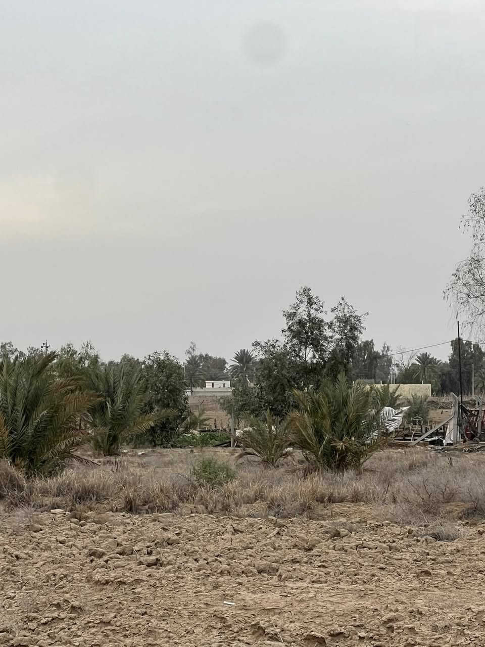 للبيع ….
5دًونم ،عقد 17
تبعد عن طريق مرقد الخضر (ع) 400m.!
خلف مدينة حمورابي."
#تتوفر فيها خدمات "
(الارض تابعه إلى طابو المسيب )وليست ملك أحد"
ملاحضة :يوجد فيها معاملة تمليك"
للستفسار على الأرقام التالية:
*********** _***********
