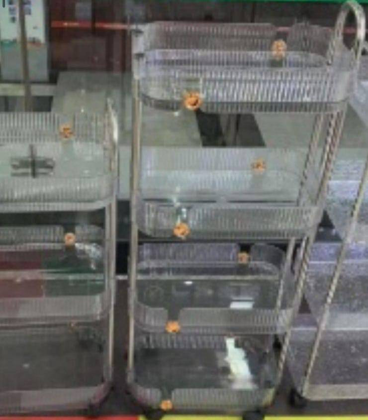 ارقى واحدث ديكورات الصالونات المودرن 
@إشارة


**إذا كنت صاحب هذا الإعلان وتريد حذفه لأي سبب، رجاءا أرسل رسالة إلى الدعم الفني**