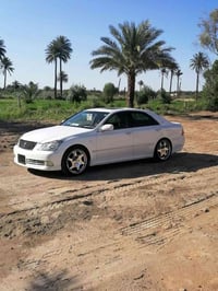 شاهينه • ٢٠٠٥ • فلوجه