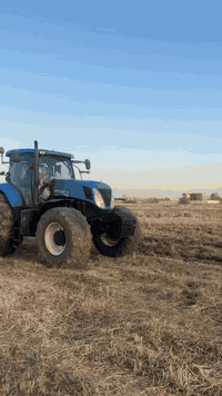 السلام عليكم
دسك للعمل متوفر
جميع المحافظات 
شغل درجى اولى
***********
***********
