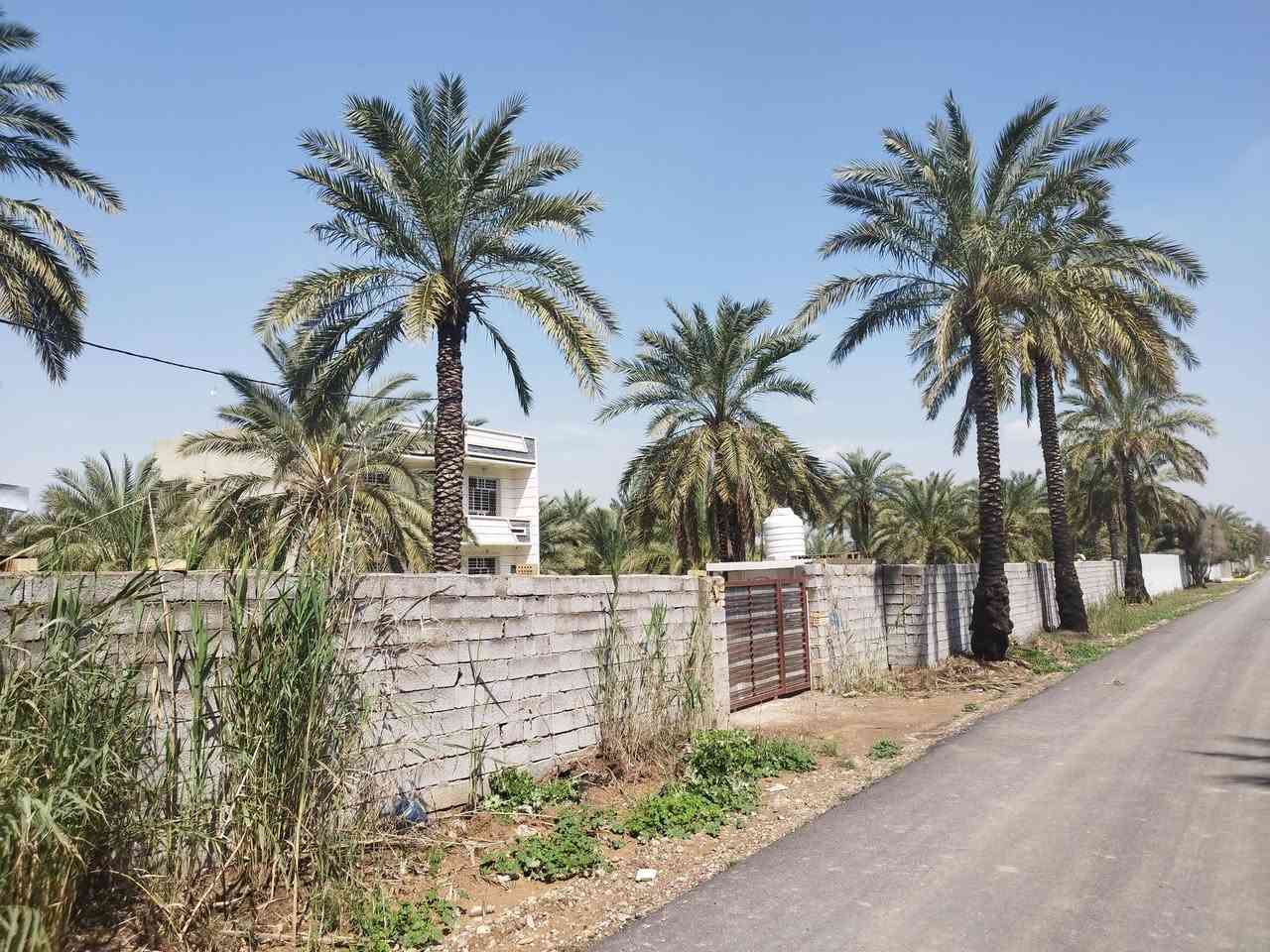 سلام عليكم يوجد دونمين ونص طابو ملك صرف المكان المدائن جسرديالى التويثة 
الاستفسار الاتصال ***********
