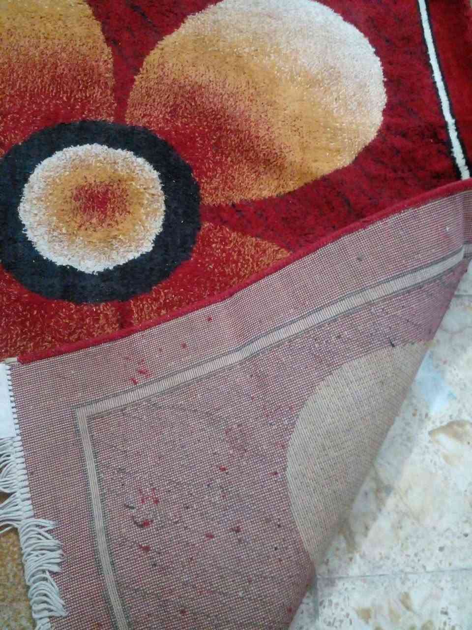 زولية نضيفة السعر خمسة وعشرين المكان الشعلة بغداد, العراق


**إذا كنت صاحب هذا الإعلان وتريد حذفه لأي سبب، رجاءا أرسل رسالة إلى الدعم الفني**