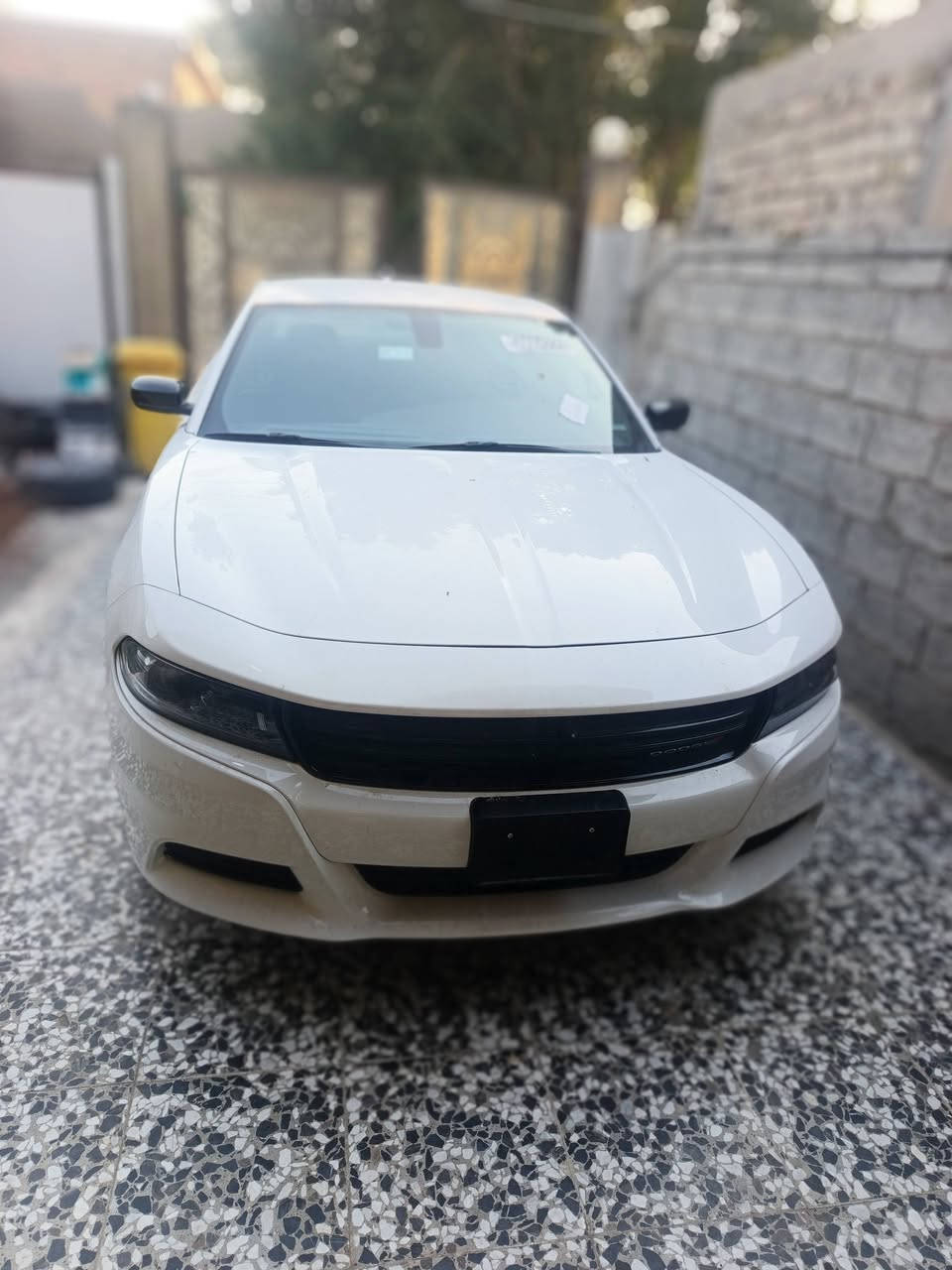 سلام عليكم
......ترهم مراوس.... 
دوج جارجر موديل 2023 بدون رقم
سياره كلين تايتل بدون اي حادث بدون اي شخط
بعدها شركه مكينه v6 مواصفات sxt 
العنوان...... بغداد
***********
***********
