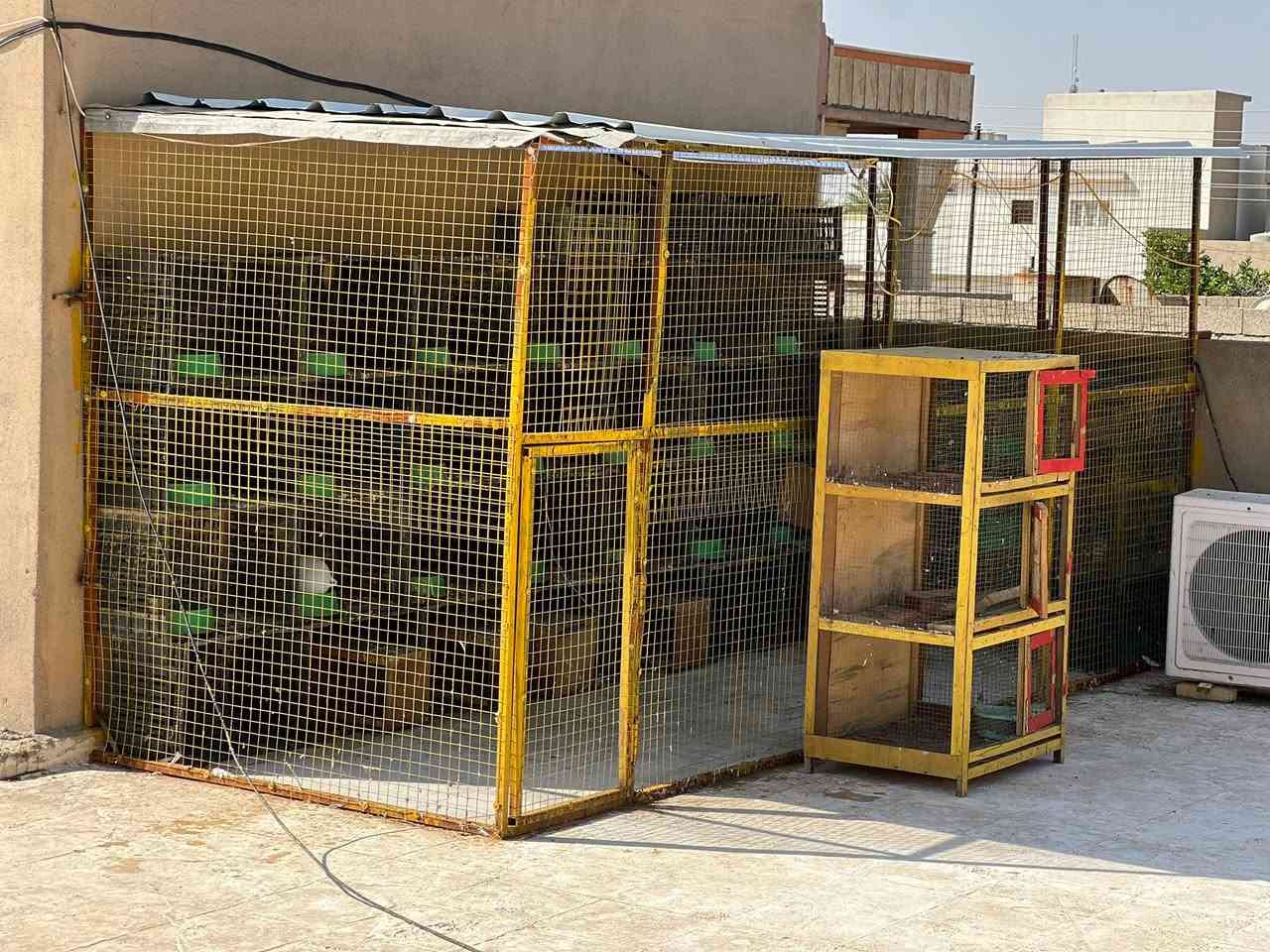 سلام عليكم قفاص للبيع مكاني كياره باقي تفاصيل اتصل وتدلل رقمي ***********
