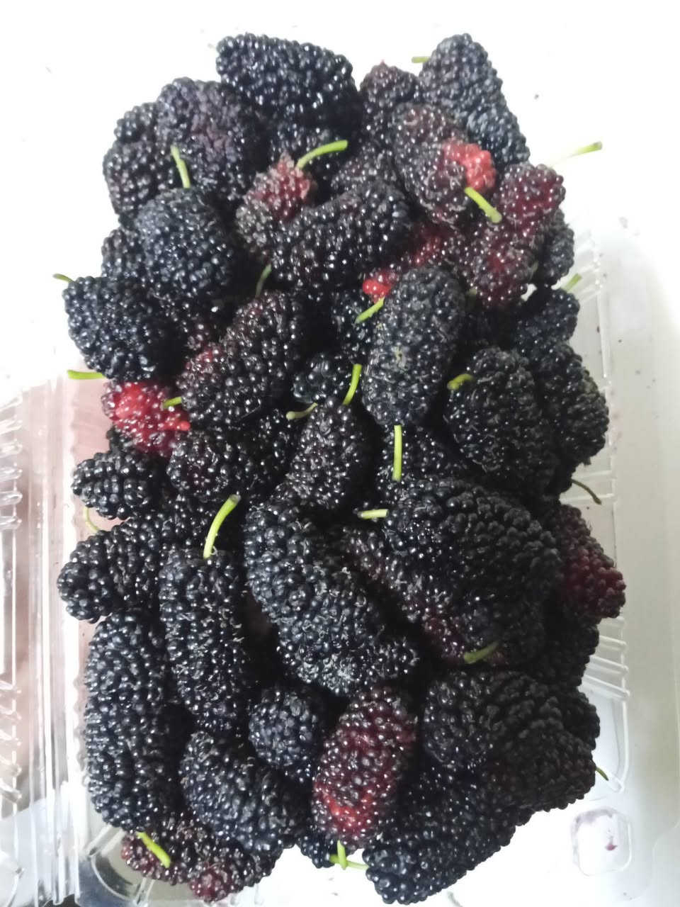 بەناوی خوای گەورە،،توی کەنەدی تازەو جوان ئەم ئێوارە چنراوە قاپی ۱ هەزار سمود***********
