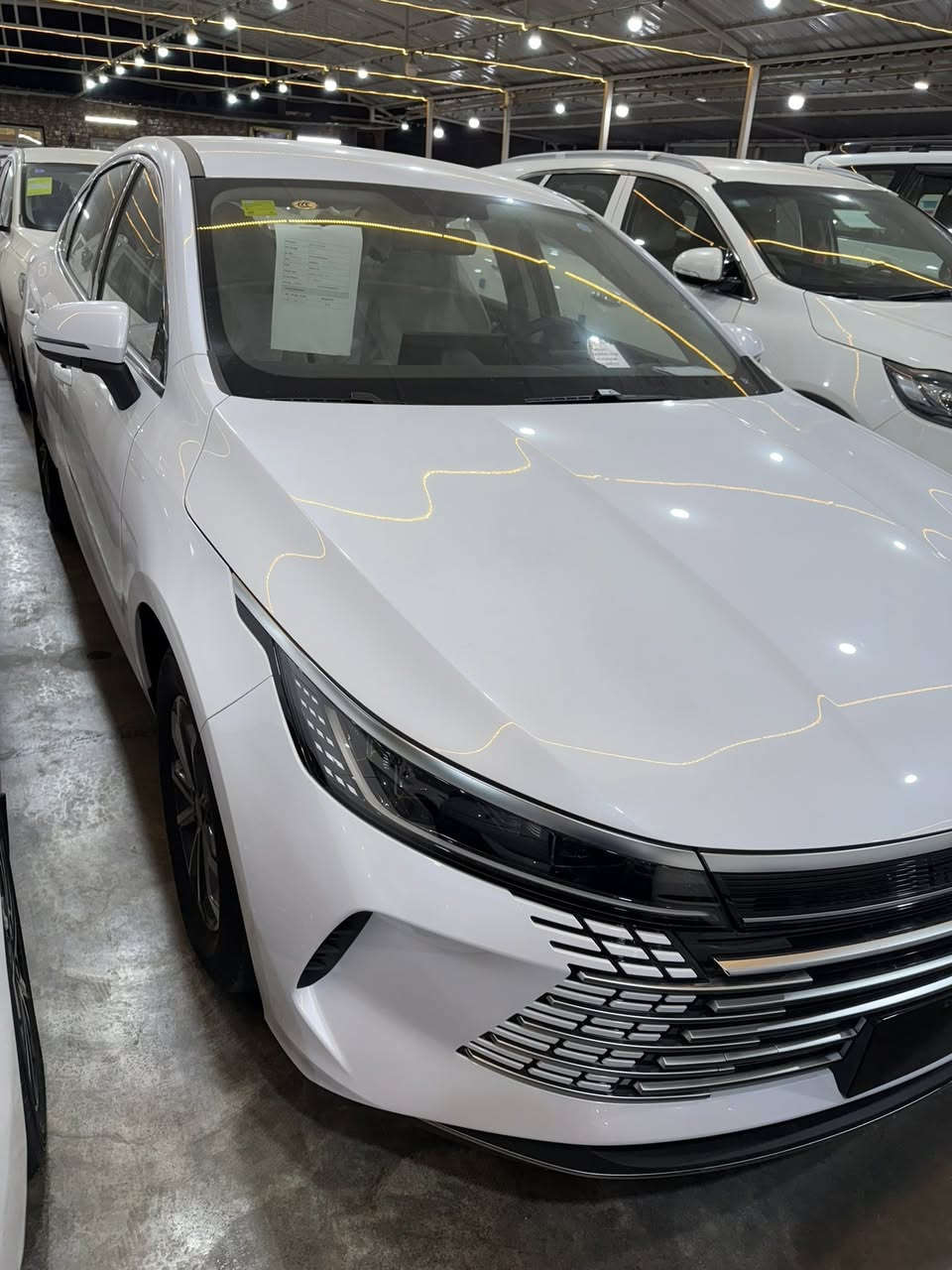 ♦️بي واي دي ديستروير 05 موديل 2025♦️

‼️مواصفات معروفة‼️

♦️ملحقات كاملة(شاحن+كرت+منفاخ)
♦️كير ماوس
♦️شاشة كبيرة دواره 
♦️قطعتين تبريد
♦️مقاعد جلد ابيض رياضي

❌✨السعر: : 18,500.000 دينار ❌
(السعر شامل الدلالية)
السيارة تترقم بغداد✨
‼️البيع نقد فقط ‼️

📍العنوان:بغداد الكريعات شارع الوقف السني معرض الفرقان لتجارة السيارات

☎️للاستفسار:
***********
***********
***********
