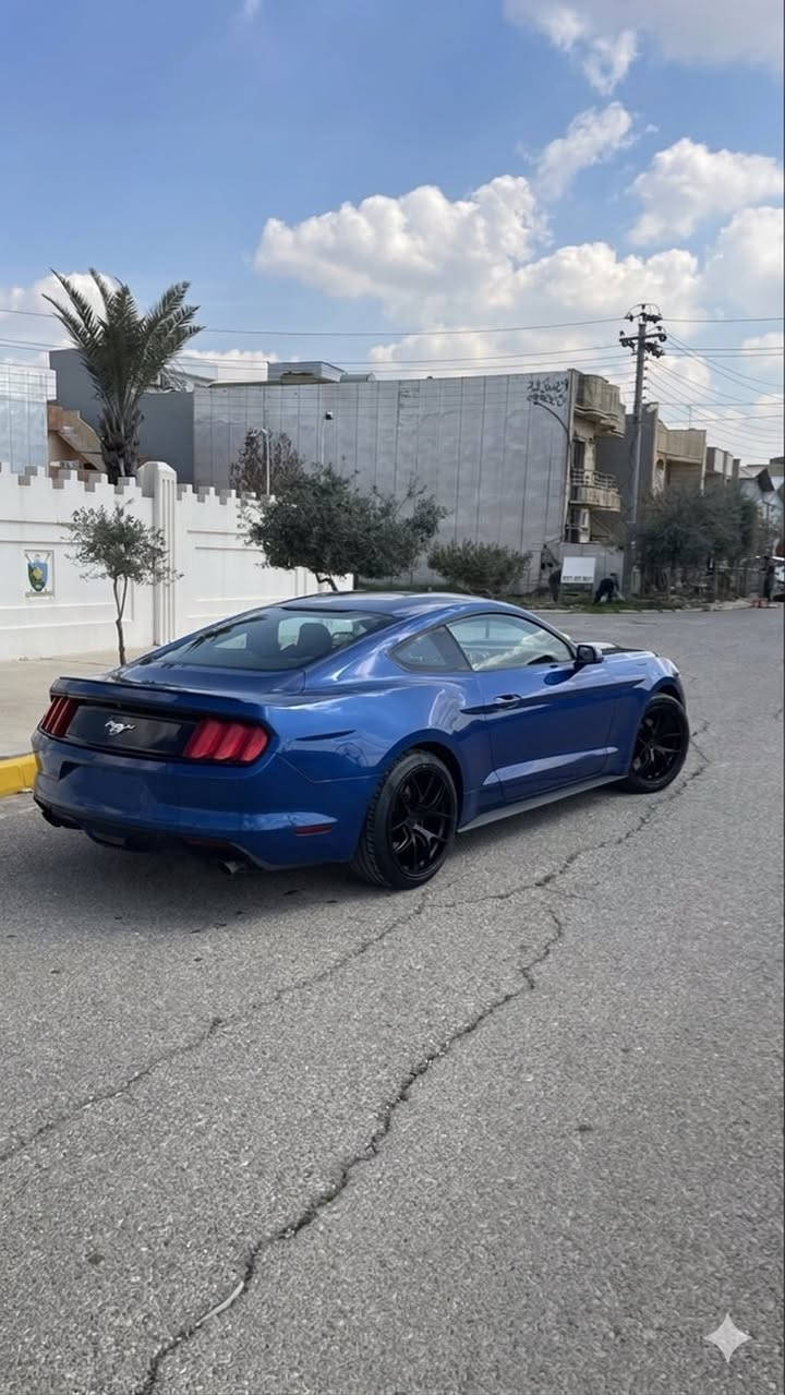 سلام عليكم
للبيع 2017 ايكوبوست 4سلندر
السيارة بدون حادث بيها قطعتين صبغ رش فقط وبيها شوية بارد بلقمارة وبلباب
بدون دواخل وبدون ايرباك
السيارة نظيفة بدون نواقص
سعر137وبيها مجال 
مكاني اربيل 
***********
***********
