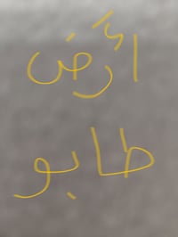 أرض طابو صرف • ٢٠٠م • نقابة المحاميين شارع ٣٠