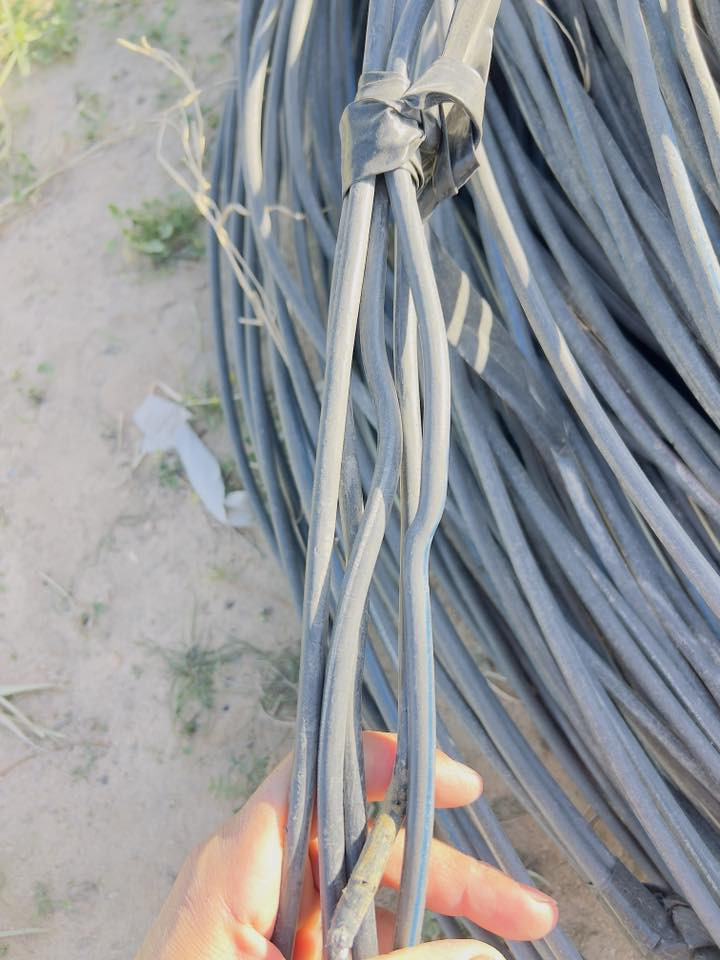 ضفيرة للبيع أم ٣٥ صيني نضيفه طولة ١٢٥٠ متر 
سعر المتر الواحد ١٠٠٠ الف دينار 
العنوان طريق نجف كربلاء عامود ٨٤١ 
رقم التلفون   ***********
