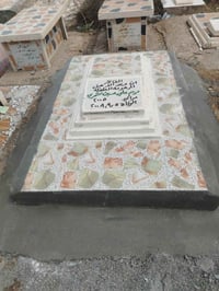 اخوان انتباه انتباه اكو ناس كعده تسحب صور مال شغلنه وتمشي بسمنه الحذر ...