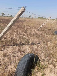 يوجد اعكال و خيات مايقارب 4 دونم للبيع 07824962816