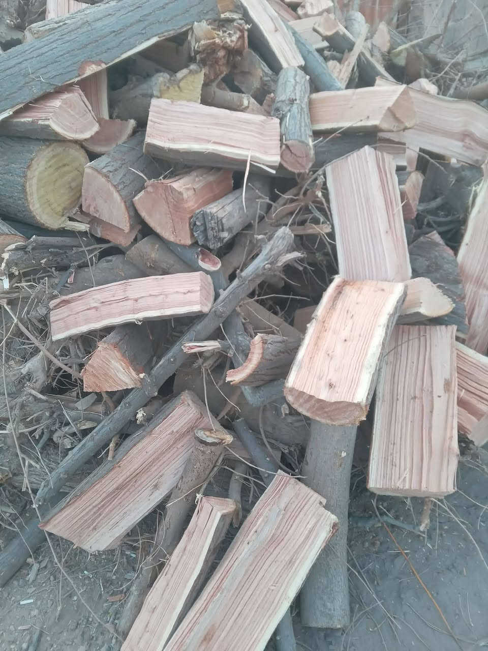 يوجد حطب توث ومشمش ناشف وبي اخضر وبي مشرح العنوان هيت حي البكر قرب مدرسة القاهره هاتف ***********
