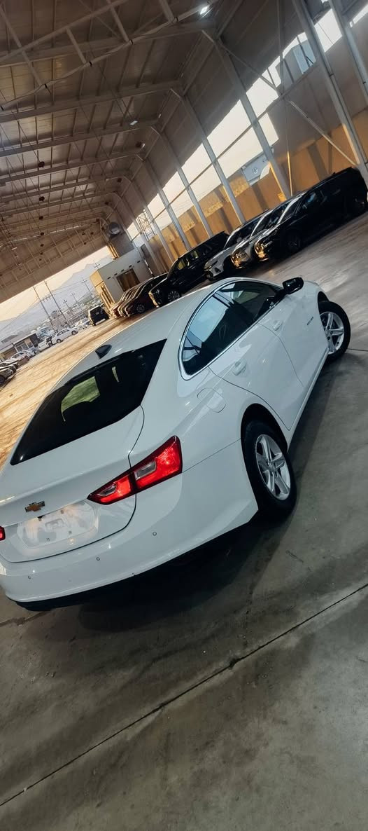 مالیبۆ 2024 کلین تایتڵ بێ بۆیاخ بێ ناوگرتن بێ شوخت بێ سارد بێ ئرباگ هە موو گیانی بە شە رت ڕە سمی ڕە قە م شانصیم داناوە 128 گە ڵاو مە جالیکی کە م 3 مانگ کاتی لە گە ڵە ژم *********** السليمانية, العراق
