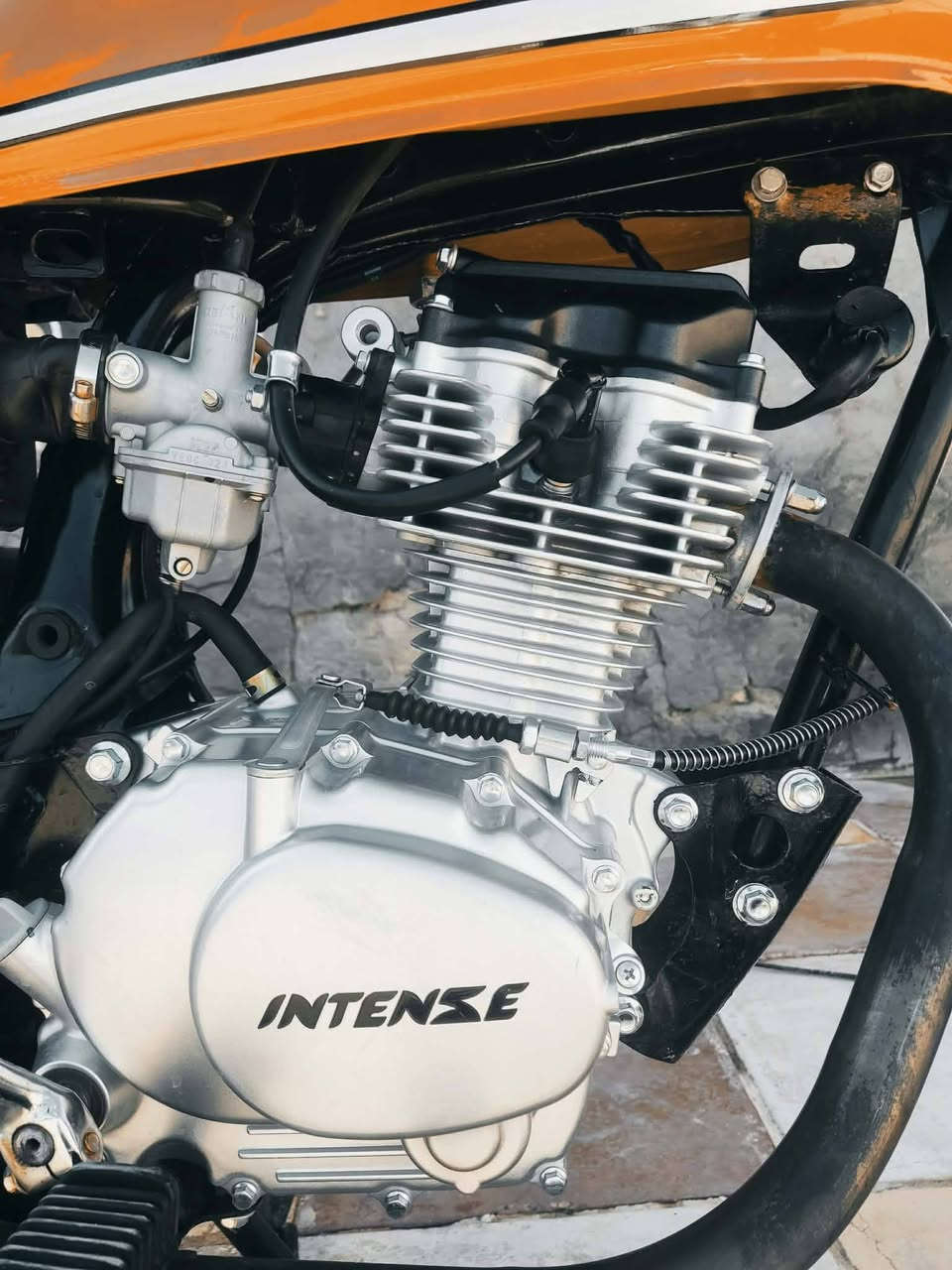 سلام عليكم شباب دراجه للبيع مكينه انتنس هاي الله شاهد 2تبديلت دهن اله نضافه فول برغي واحد ما بيه تجاري شاصي اصولي شلامجه وكيله لعارضي مكاني ناحيت القادسيه لخاص مفتوح


**إذا كنت صاحب هذا الإعلان وتريد حذفه لأي سبب، رجاءا أرسل رسالة إلى الدعم الفني**