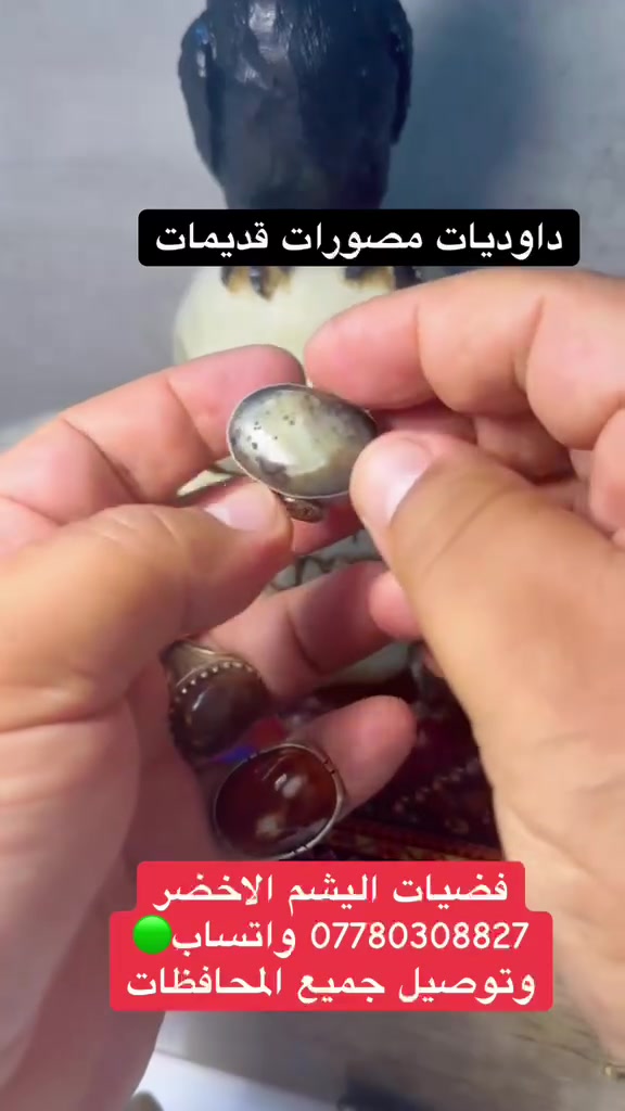 كلمن وسعره اكو توصيل ***********
