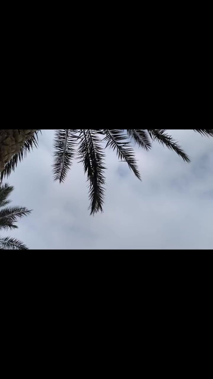 دراجه شحن لل بيع
🚨6 باتري 
🛑38 انبير
🛣️بل شحنة الوحده تمشيك 80 كيلو
🏍️سرعتها 80 حقيقي 
🪄مثبة سرعة 
⛷️مانع انزلاق 
🎇ملف 2000 حقيقي
❤️‍🔥سعر مليون و 100 
😍بيه مجال لل طيبين


**إذا كنت صاحب هذا الإعلان وتريد حذفه لأي سبب، رجاءا أرسل رسالة إلى الدعم الفني**