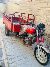 ستوته • ٢٠١٢ • سنويه