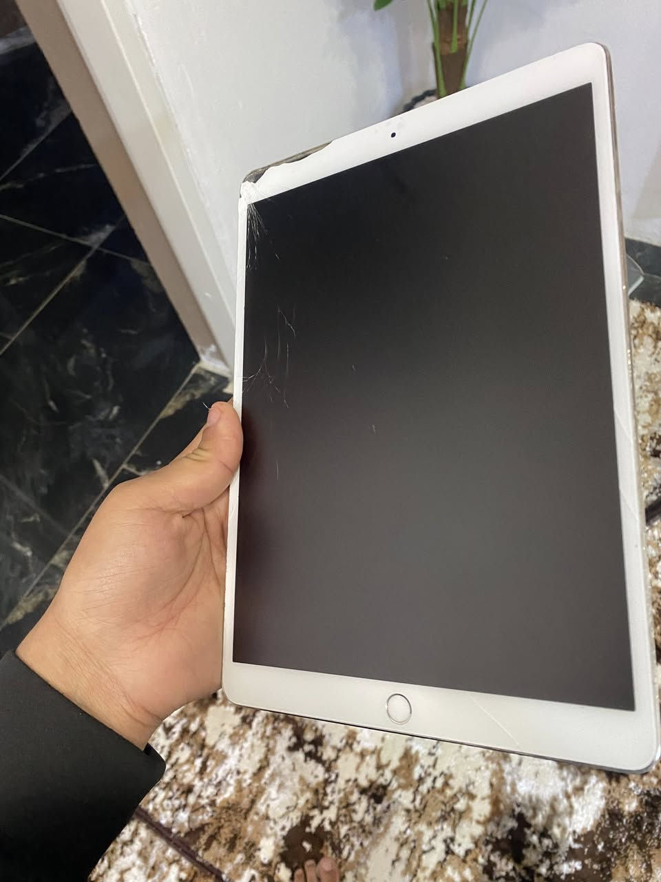 ايباد برو 10.5
ذاكر 64 

شاشه 120 هيرتز

ببجي اقو 60فريمHDR

اربع سماعات ستيريو

بطاريه 71

نضافه85

عيوب الجهاز فقط بل كلاس مماثر +حساب ايكلود ناسي رمز ماله بس كدر ضيف حساب ثاني وتستخدموً طبيعي واذ تريد تزيل حساب ما يكلف ١٠ سعار جهاز 195 وبي مجال بسيط يرهمً مروسه بايفون فقط


**إذا كنت صاحب هذا الإعلان وتريد حذفه لأي سبب، رجاءا أرسل رسالة إلى الدعم الفني**