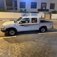صني • ٢٠١٤ • مكفولة صبغ ومعجون