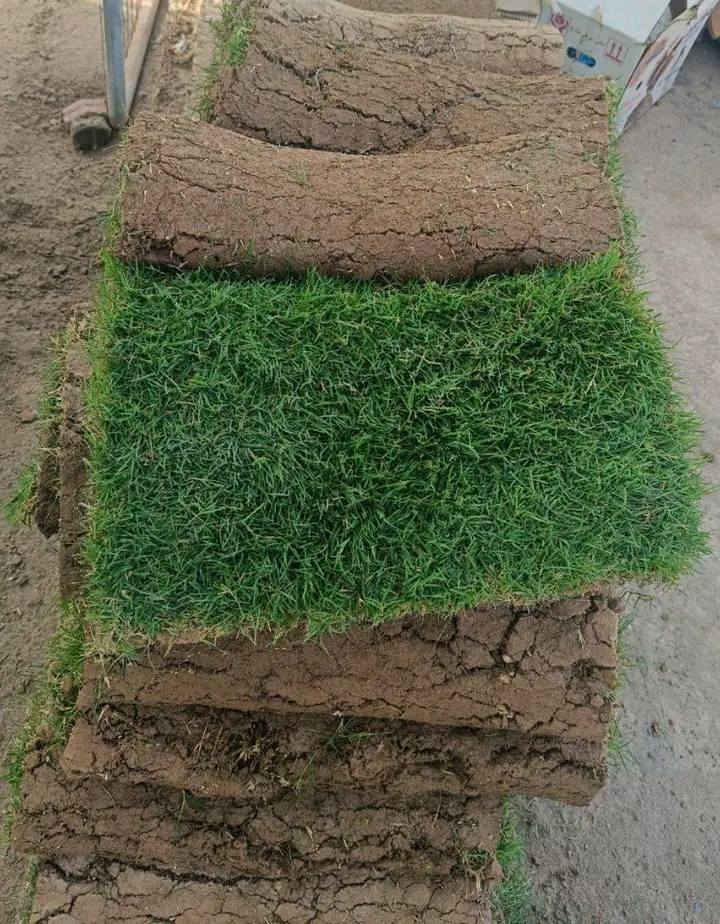 تخفيضات ثيل هندي ولاول مره في الخليج والوطن العربي كافه سعر المتر قطعتين 3500 ولمدة يومين فقط عروض العيد


**إذا كنت صاحب هذا الإعلان وتريد حذفه لأي سبب، رجاءا أرسل رسالة إلى الدعم الفني**