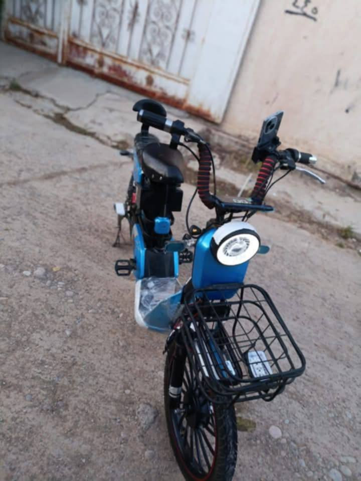 بايسكل شحن للبيع
حجم 20 
فول مواصفات
4 كير سرعه 55 حقيقي
بطاريه جديد A+
كـشـن جـديـد 
السعر 150بي مجال 
مكاني كركوك
رقمي ‏‪***********‬‏ وتساب
