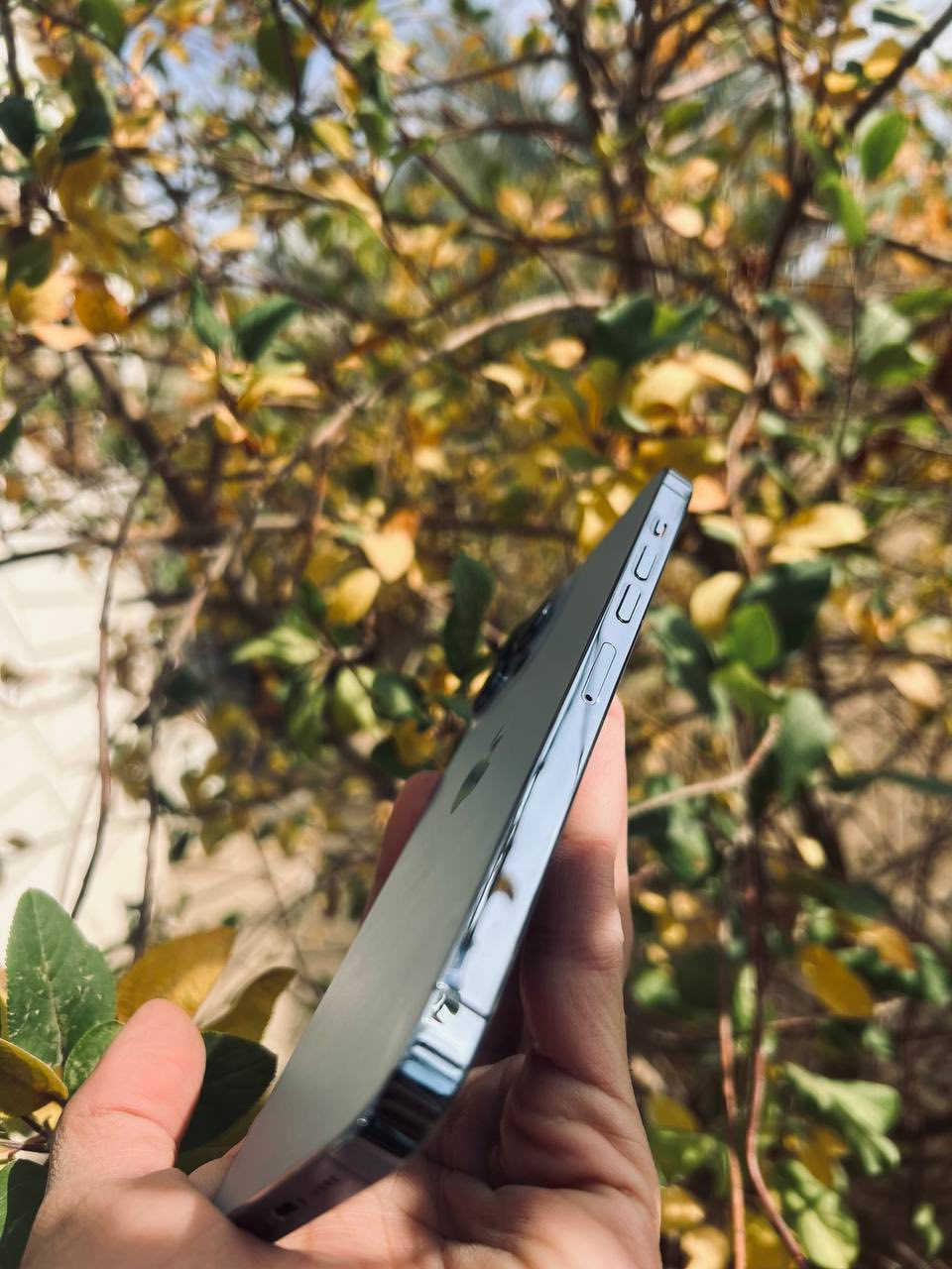 للبيع والمراوس ابيفون 14 او 15  او اس 23 - 24 الترا 

ايفون 13 برو ماكس ذاكره 256 بطاريه 81 بلاديه جهاز مبدل فقط شاشه اصليه مال جهاز ثاني مكاني كربلاء


**إذا كنت صاحب هذا الإعلان وتريد حذفه لأي سبب، رجاءا أرسل رسالة إلى الدعم الفني**