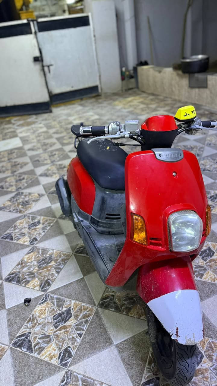 دراجة بوليس للبيع السعر 550مكاني بعقوبة الجديدة نهر الحجية رقم الهاتف 0776418929


**إذا كنت صاحب هذا الإعلان وتريد حذفه لأي سبب، رجاءا أرسل رسالة إلى الدعم الفني**