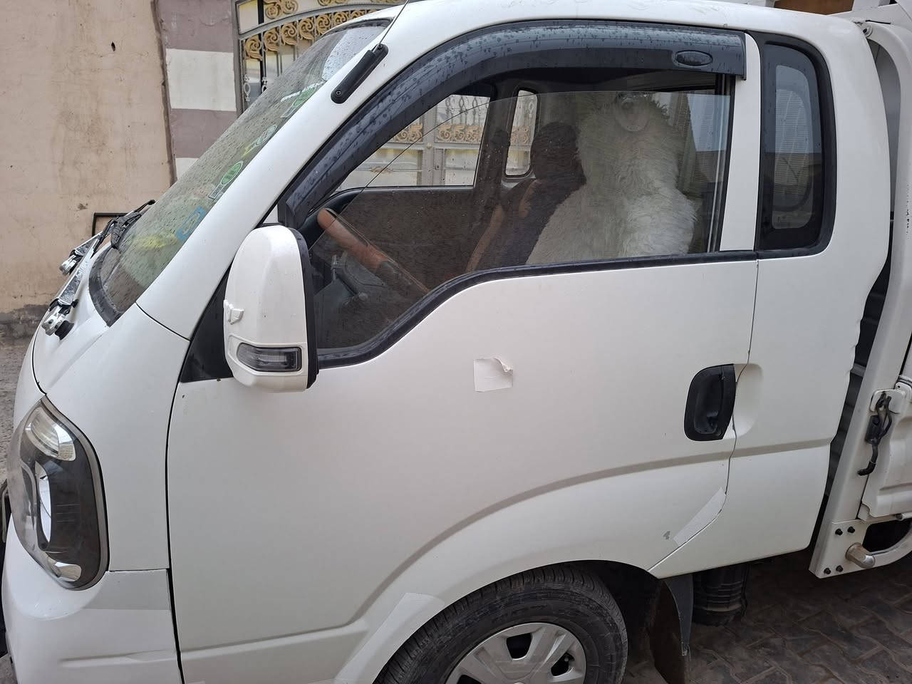 يالله سلام عليكم كيا 2700 للبيع موديل ٢١ سياره بيه ضربه جهت صفحه جهت سايق الباقي مكفول كير مكينه شاصي سياره جاهزه تخم تاير جديد دعاميات ورا وكدام محجر سياره جديده وبسمي مداور ثاني يوم رقم بابل انكليزي اسعر ١٢٠ وبيه مجال مكان نجف ***********
