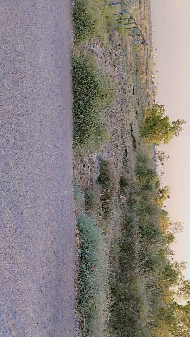 بستان مساحة دونم طابو اسهم مع شاطئ على نهر السديناويه شارع السفينه خلف مدرسة الواثق .. تحويل مباشر سند ٢٥
على شارع تبليط من الامام والخلف على شارع سبيس يطل على مجمع سكني
الواجه ٢٠متر
النزال ١٢٠ متر 
الشاطئ ١٠ في ٣٥
السعر ١٦٠
بستان مساحة دونم طابو اسهم مع شاطئ على نهر السديناويه شارع السفينه خلف مدرسة الواثق .. تحويل مباشر سند ٢٥///***********
