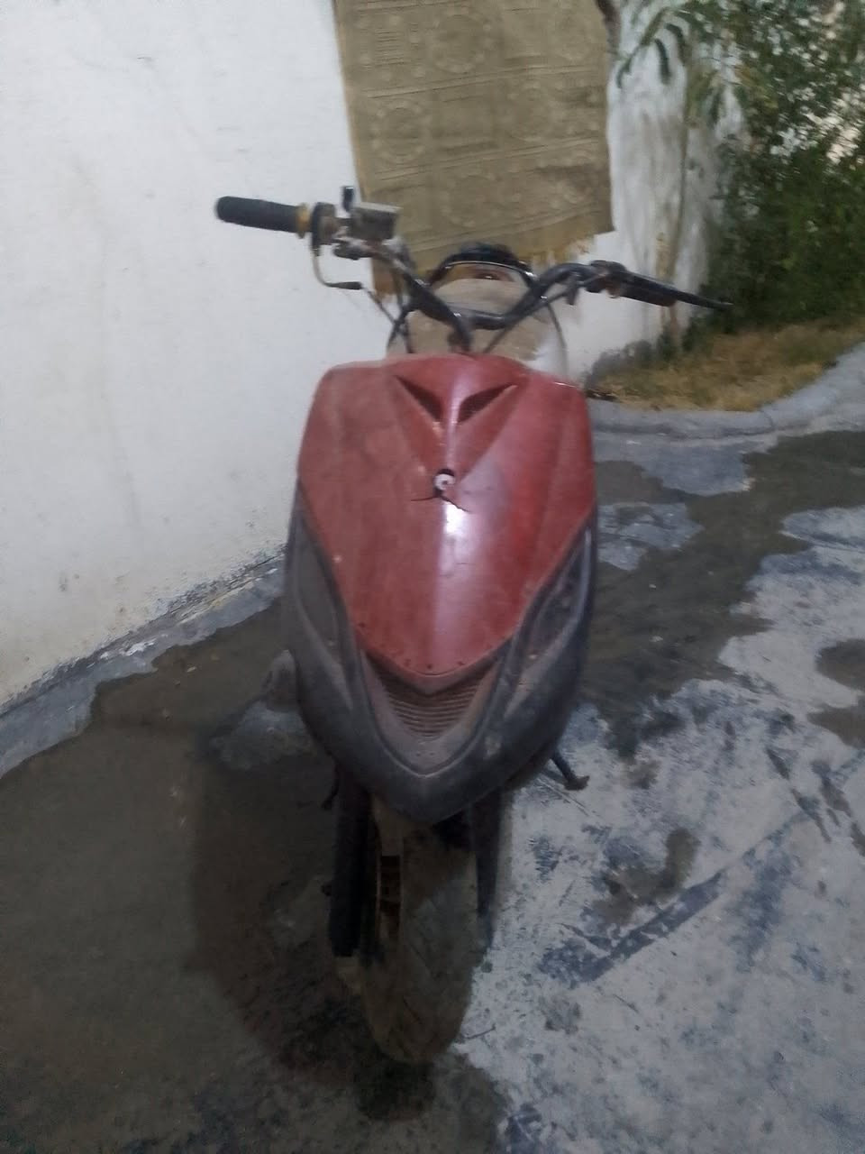 راجع ماكس ثعلب 150 وبيها مجال***********
