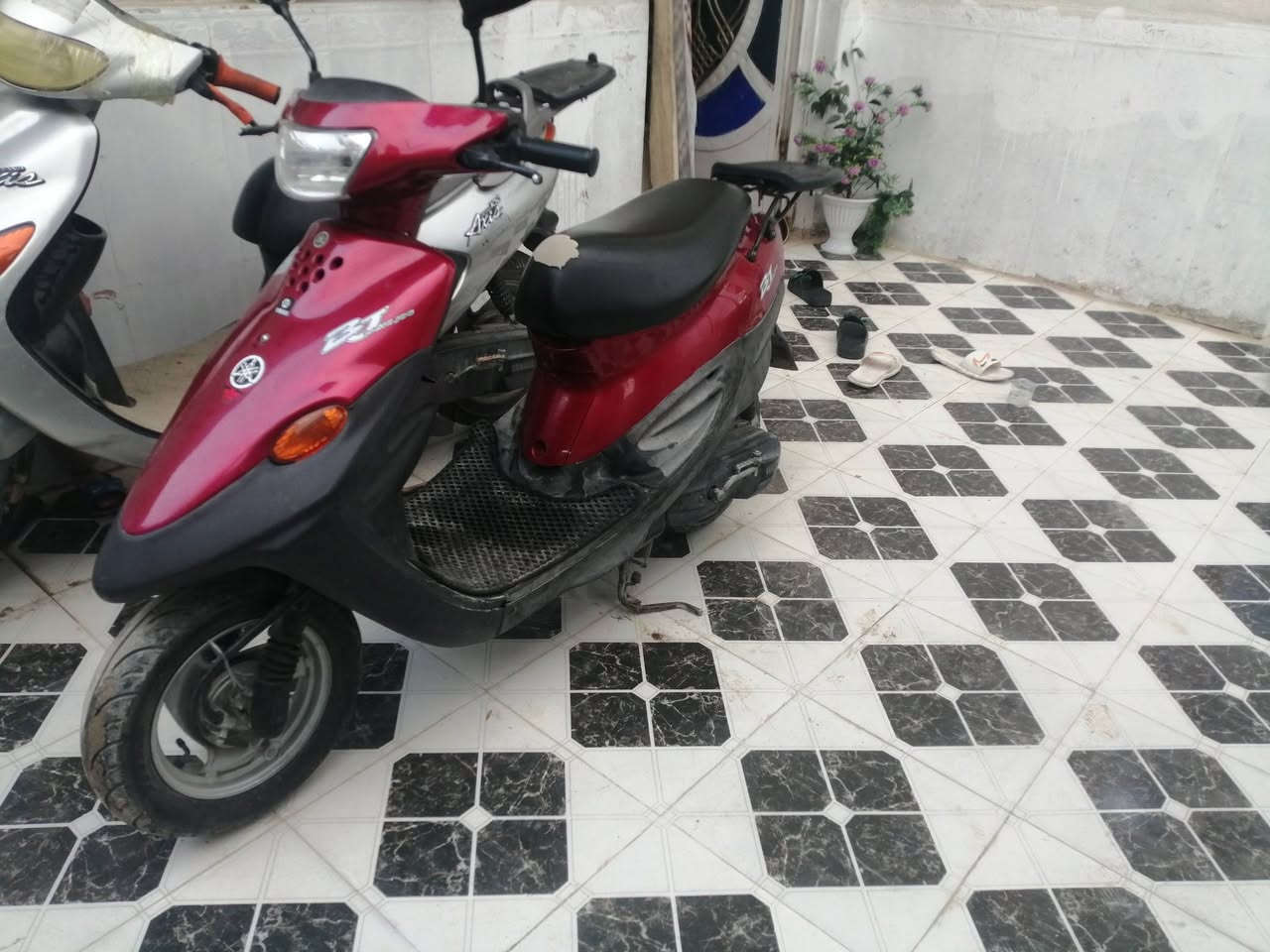 دراجه للبيع بيجي نظيفه كلشي شغال بيها شوفت عينك ناصريه مركز
سعر 500

***********
