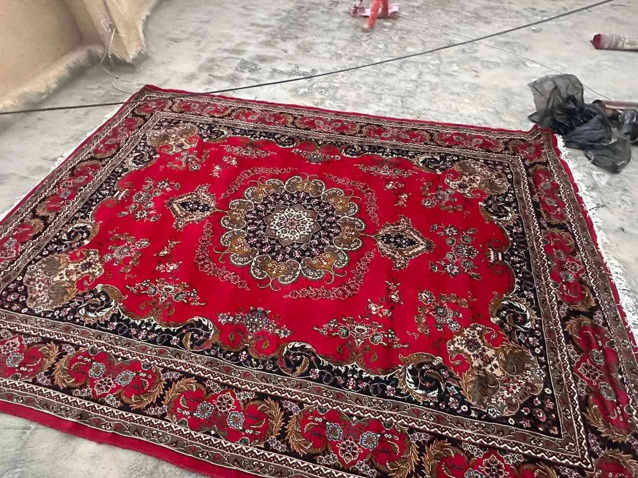 زوالي نضيفات كلش وجدد بس انريد انشيل وحته وديناهن للغسل المكان كربلاء السعر خاص وبيهن مجال للطيبين  رقم الهاتف واتساب ***********
