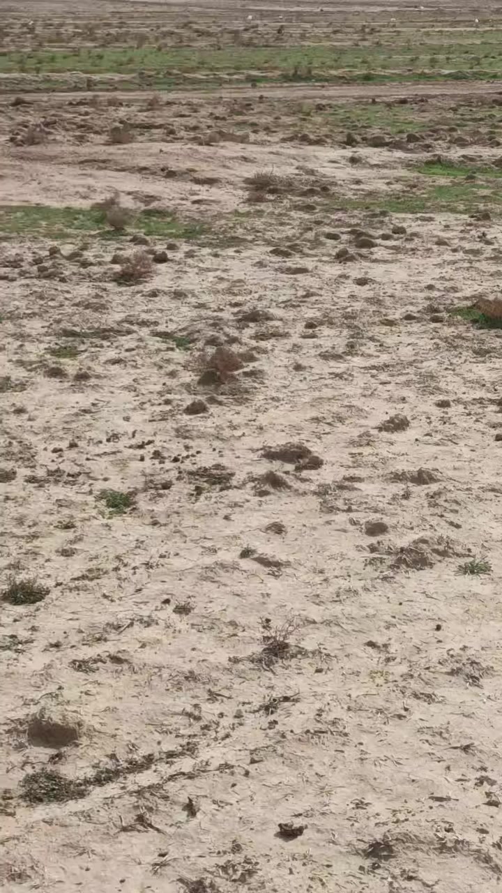 5دونم للبيع واجهيه 60ونزال 205صافي شارع طالع 11متر 
واتساب ***********اولاتصال عرقم ***********
