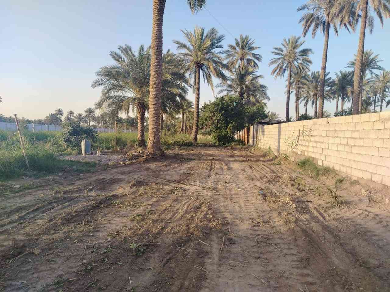 السلام عليكم قطعت ارض للبيع بغداد المدائن منطقت التويثه قرب شارع القاضي خدماتهه كامله ميه كهرباء تبليط 
منطقه حلوه ترهم مزرعه زغيره ومرتبه طابو ملك صرف ثاني يوم احولك بسمي شخصين مساحتهه 1350
 الاستفسار اكثر خاص او *********** واتساب فقط
