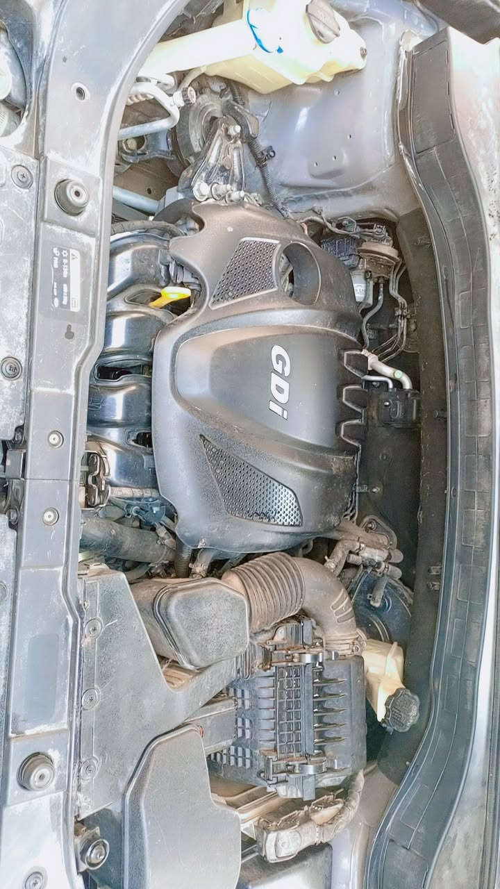 سلام عليكم بسبب الوعود الكاذبة سورنتو موديل 2014 وأرد أمريكي 4سلندر 2400 خمسه راكب بردات بلاديه تتفه كشنات الله شاهد سياره متروكه هذا رقمي ***********
