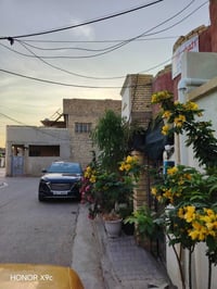 بيت للبيع مساحة ٨٠ متر زراعي مكاتبة فقط الشعب الجمعيات خلف السدة فتحت ...