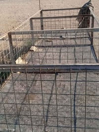 اقفاص دجاج • ٣م طول • الديوانية