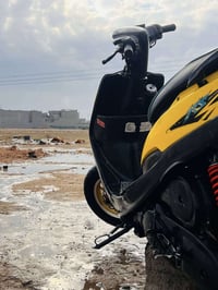 ماكس عدلة • ٤٩