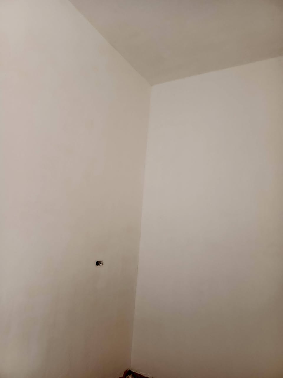 السلام عليكم
خلفه جص +بورك
اسمنت +نثر
درجه اولى الشغل احلة من الصور بالواقع 
ملاحضة _البورك جزء منه اليوم اشتغلناه بعده اخضر... 
***********_بي واتساب
